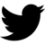 iconmonstr-twitter-1-e1567663278823